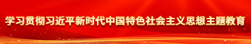 操弄骚逼纯肉视频学习贯彻习近平新时代中国特色社会主义思想主题教育